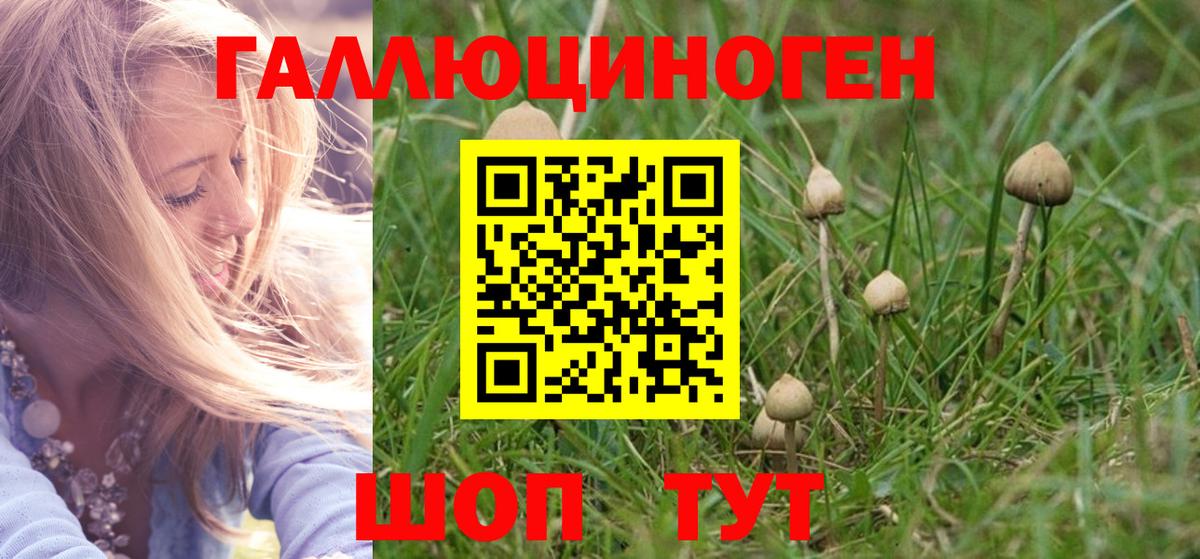 Сегежа  Псилоцибиновые грибы мицелий  Вход с VPN  Галлюциногенные грибы мицелий 