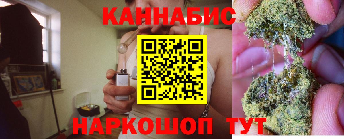 Сегежа  Каннабис планчик  Конопля Amnesia  Марихуана Ganja  Вход с VPN 